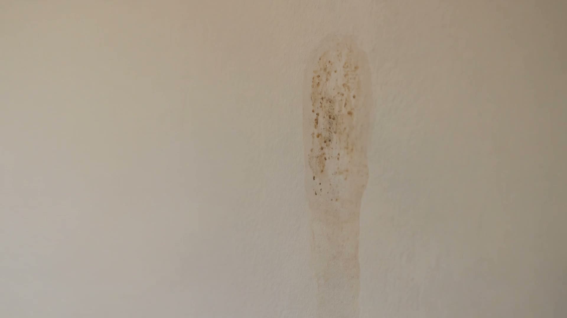 בדיקת כתם רטיבות עם מד לחות ומצלמה תרמית — לא כל רטיבות היא נזילה